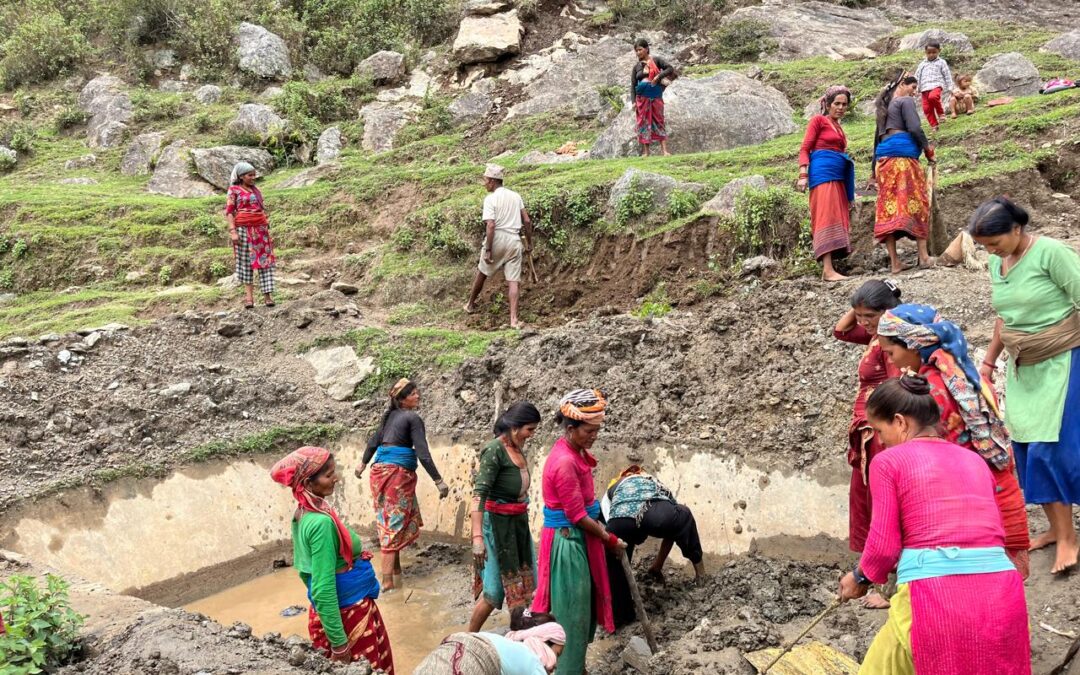 Livelihood Tracking Software