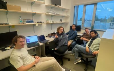 Reflection 5: We See the Light